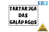 Tartarugas de Galápagos