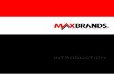 Hồ sơ năng lực MAXBRANDS 2015