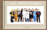 13 profesiones