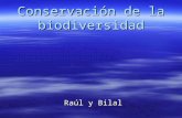 ConservacióN De La Biodiversidad