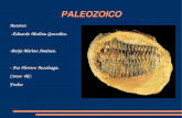 PALEOZOICO 4ºC-2
