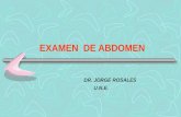 Semiologia abdomen