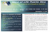 Newsletter  Wol Puerto Rico enero   febrero 2013 spanish