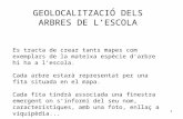 Geolocalitzar arbres2-1207704499747443-9
