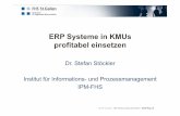 ERP-Systeme, Stefan Stöckler