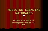 Museo de ciencias naturales