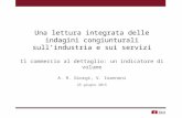 A.V. Giorgi Ioannoni - Il commercio al dettaglio: un indicatore di volume
