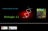 BG 7 - Replicação do  DNA