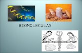 Presentación biomoleculas
