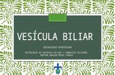 Histología de vesícula biliar y vías biliares