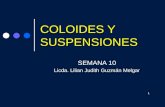 10. coloides y suspensiones 2013