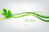 4   biomas