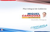 Plan de Gobierno, Miguel Carrizosa