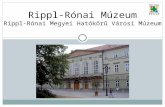 Rippl-Rónai Múzeum régészeti kiállítás