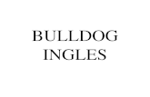 Presentación Bulldog inglés