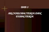Bab 3 archaeobacteria & eubacteria