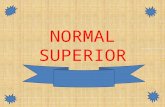 Normal superior
