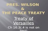 Wilson & the peace treaty 5