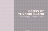 Gross of thyroid gland