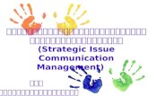 Strategic Issue Communication Management