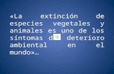 La extinción de especies vegetales y animales