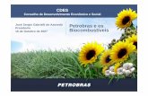 Petrobras e os Biocombustíveis