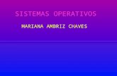 Marianaa sitemas operativos
