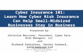 Statewide Insurance Brokers - Cyber Insurance 101