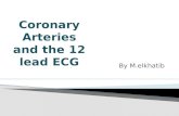 Coronary,12 ECG elkhatib