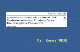 Radyum-223 Dichloride for Metastatic Castration-resistant Prostate Cancer: The Urologists's Perspective. Evidence based journal club by Caner Beşe