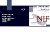 Presentacion nif 3035