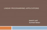 Linear Programming Application