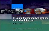 Embriologia langman11ª