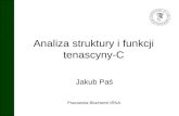 Analiza struktury i funkcji tenascyny c