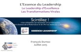 Essence Leadership