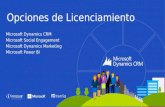 Seminario Microsoft Dynamics y Power Bi: Licenciamiento