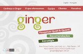 Apresentaçao ginger   portugues