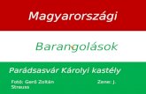Barangolások magyarországon parádsasvár károlyi kastély