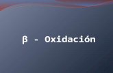 Beta oxidacion2