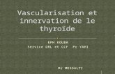 Vascularisation et innervation de le thyroïde