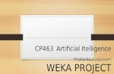 Weka project_Edit