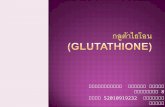 กลูต้าไธโอน (Glutathione)