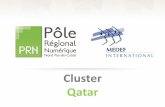 Le PRN et le Qatar