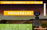 P20 Estudio Panorámico de la Biblia: Proverbios