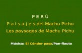 Pérou +incas