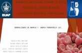 Generalidades de-anemias-y-anemia-ferropénica-