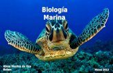 biología marina