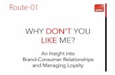 Customer relationships and loyalty in social media