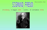 Presentazione Freud