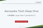 Aerospike deep dive LDTs